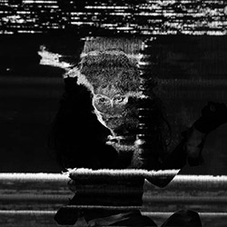 Lazarus